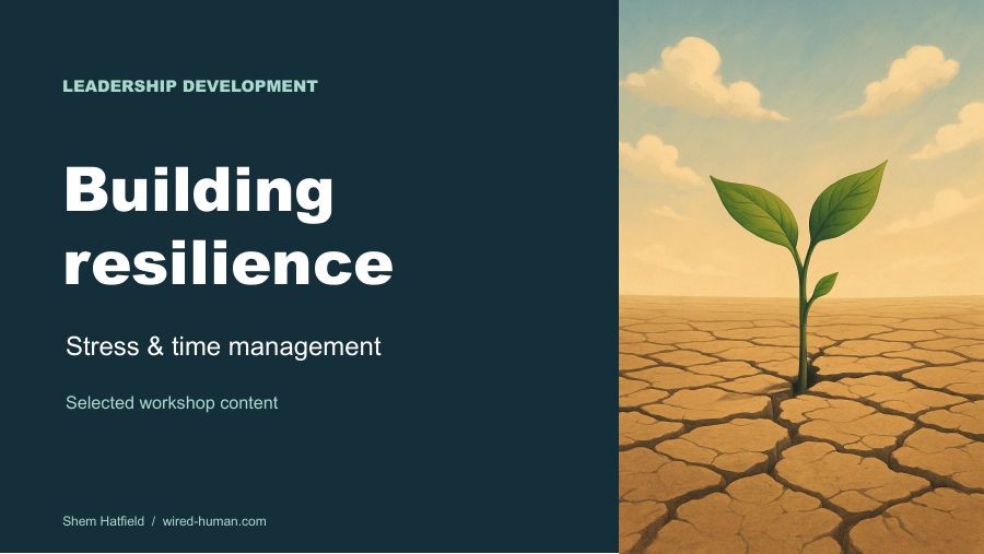 Title slide for Building Resilience, a stress and time management workshop, with a green sprout growing from cracked dry earth